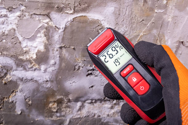Best Mold Removal Company Near Me  in Teays Valley, WV
