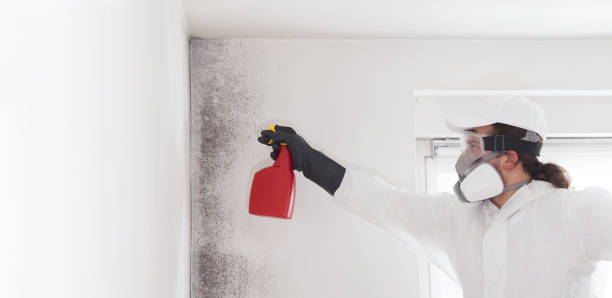 Best Mold Testing  in Teays Valley, WV